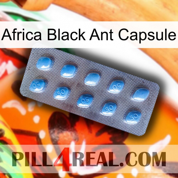 Africa Black Ant Capsule viagra3.jpg